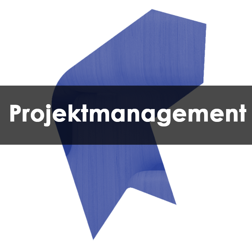 Projektmanagement